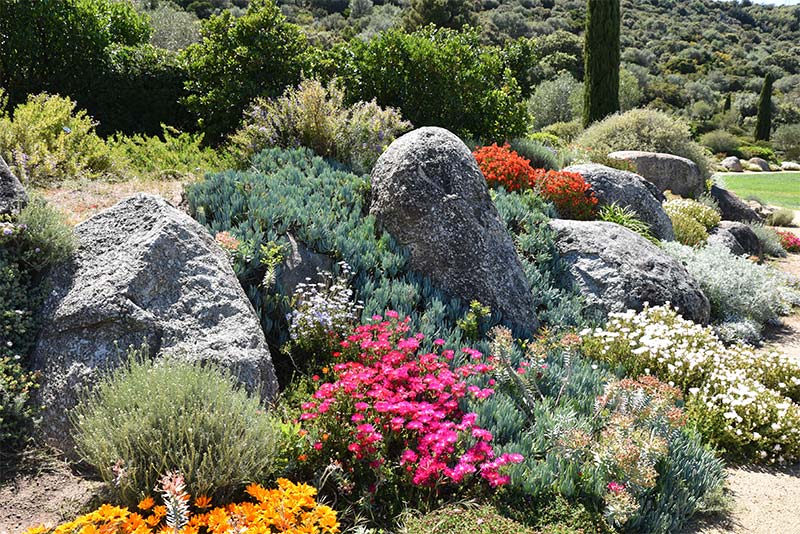 Paysagiste à Toulon, entretien de jardin avec MG Multiservices