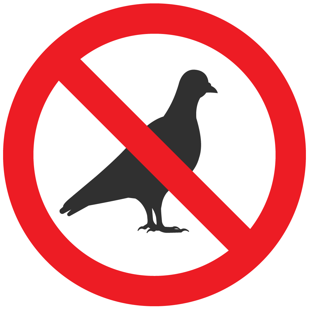 Dépigeonnage à Hyères